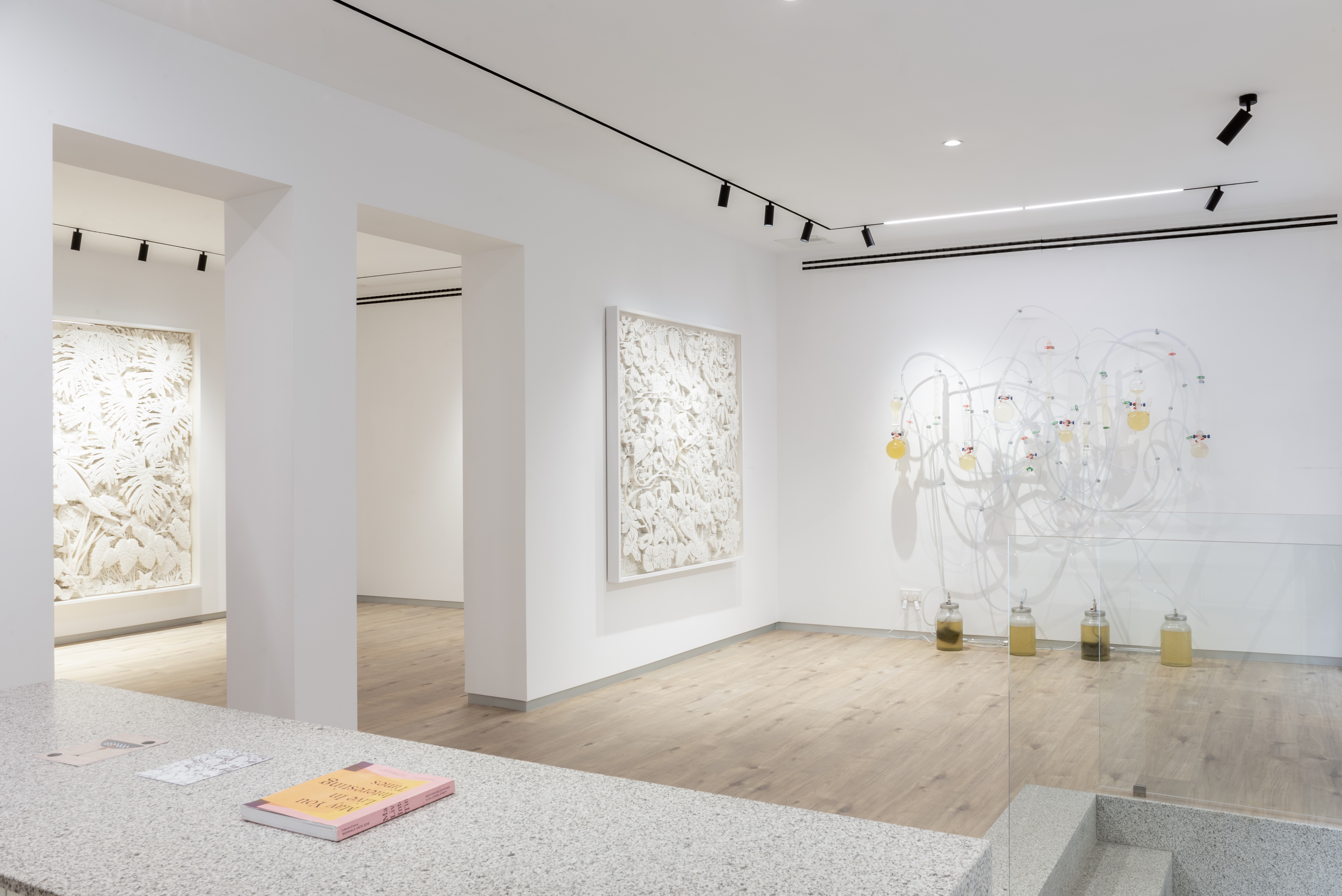 GALERÍA EL APARTAMENTO